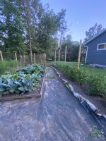 2024 Gardening Season